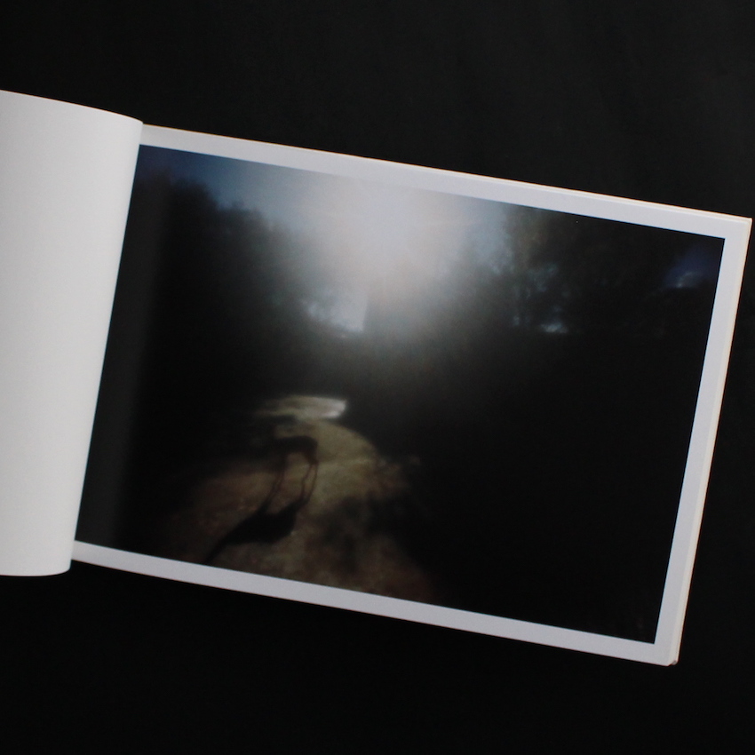 太陽 / The Sun - 野口 里佳 / Rika Noguchi