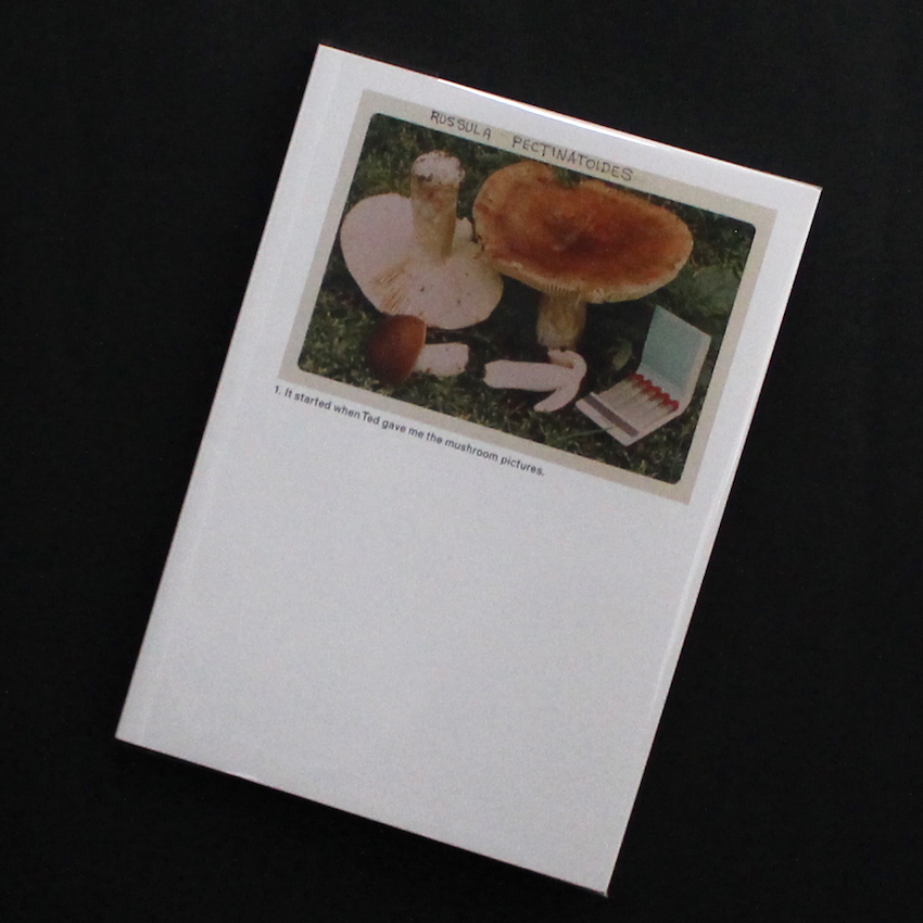 The Mushroom Collector - Jason Fulford & Lorenzo de Rita