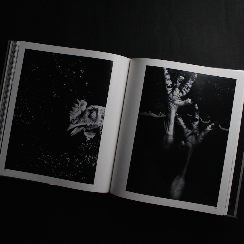 河：累影 / River, Its Shadow of Shadows（Signed） - 森永 純 / Jun