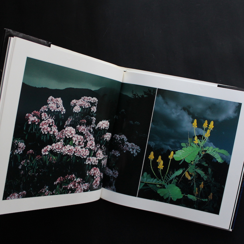 花狩 / Botanical Planetarium - 山村 雅昭 / Gasho Yamamura