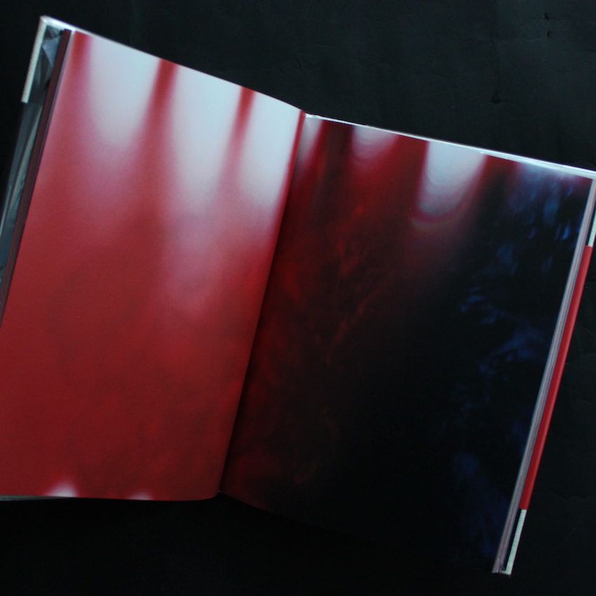 Abandom Reverie - Mark Borthwick