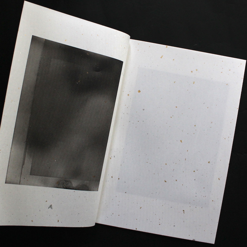 8K / Matter Print House Session 2019 - 横田 大輔 / Daisuke Yokota