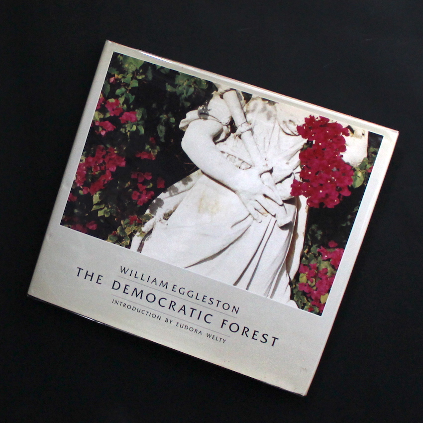 The Democratic Forest - William Eggleston