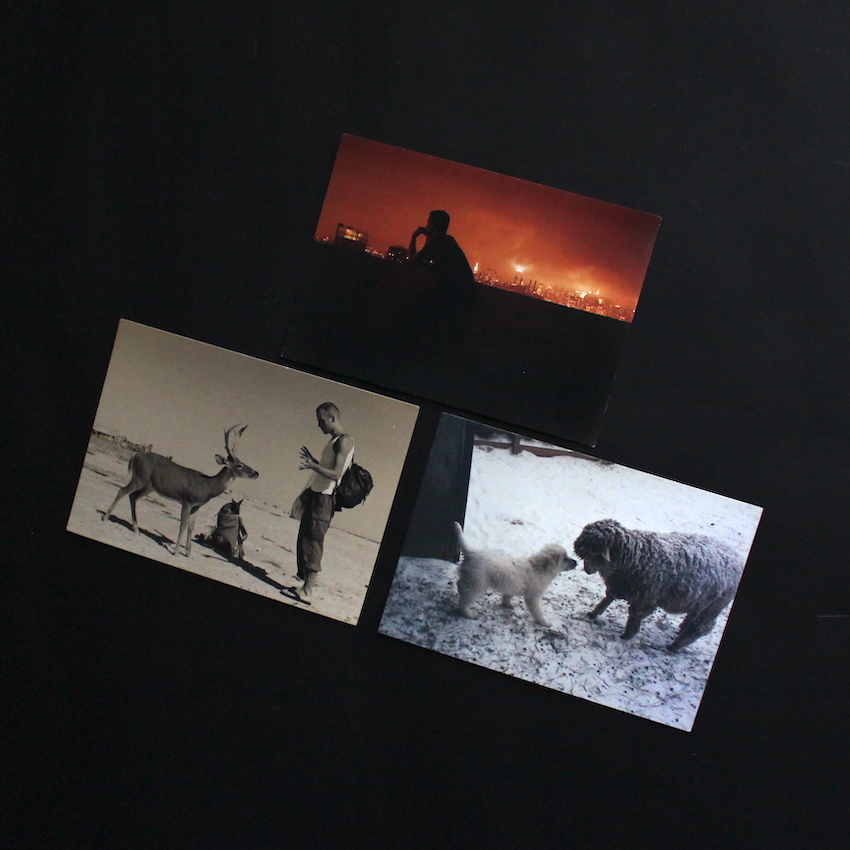 Twenty Five Postcards（2 Cards Missing） - Wolfgang Tillmans