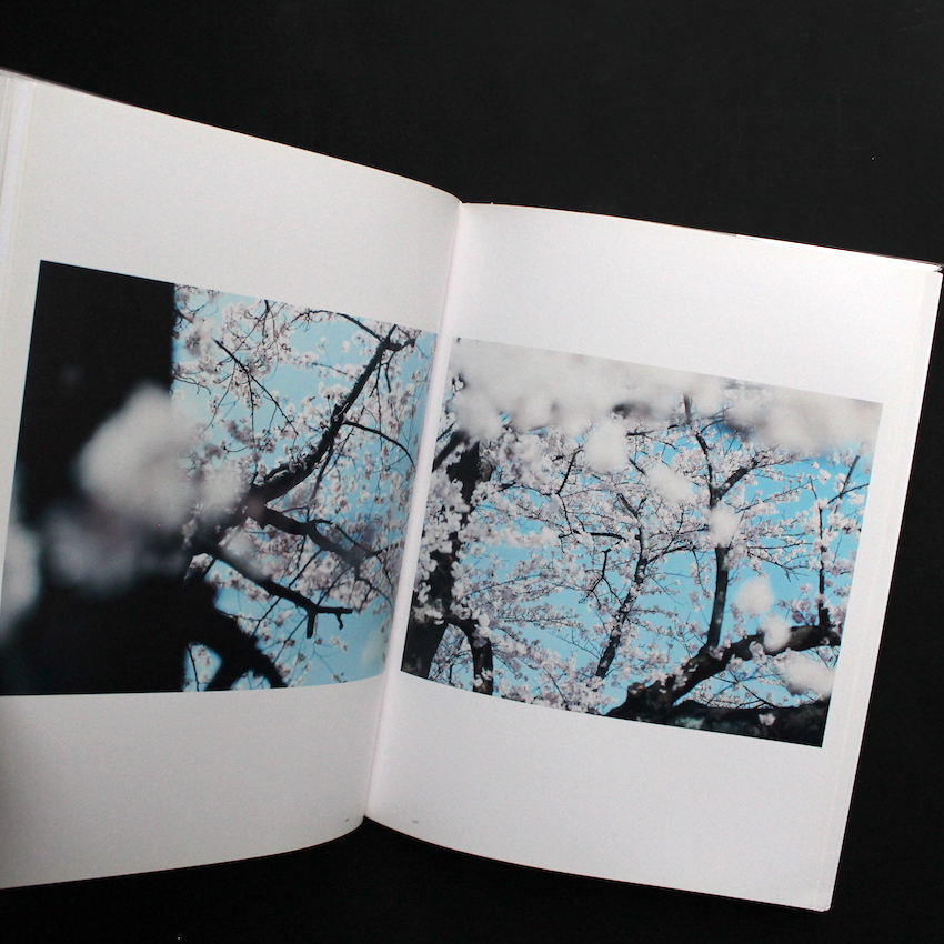 意識の流れ / Stream of Consciousness（White Cover） - 鈴木 理策