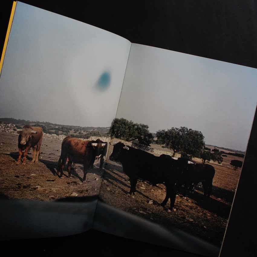 O Perfume Do Boi - Andre Principe