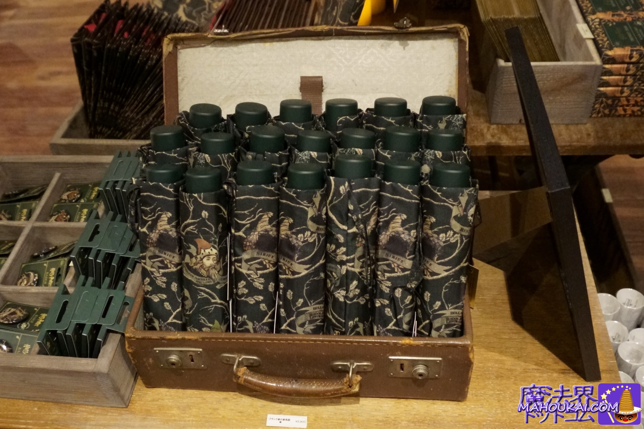 ブラック家の家系図 折り畳み傘 ミナリマ【ハリポタグッズ紹介