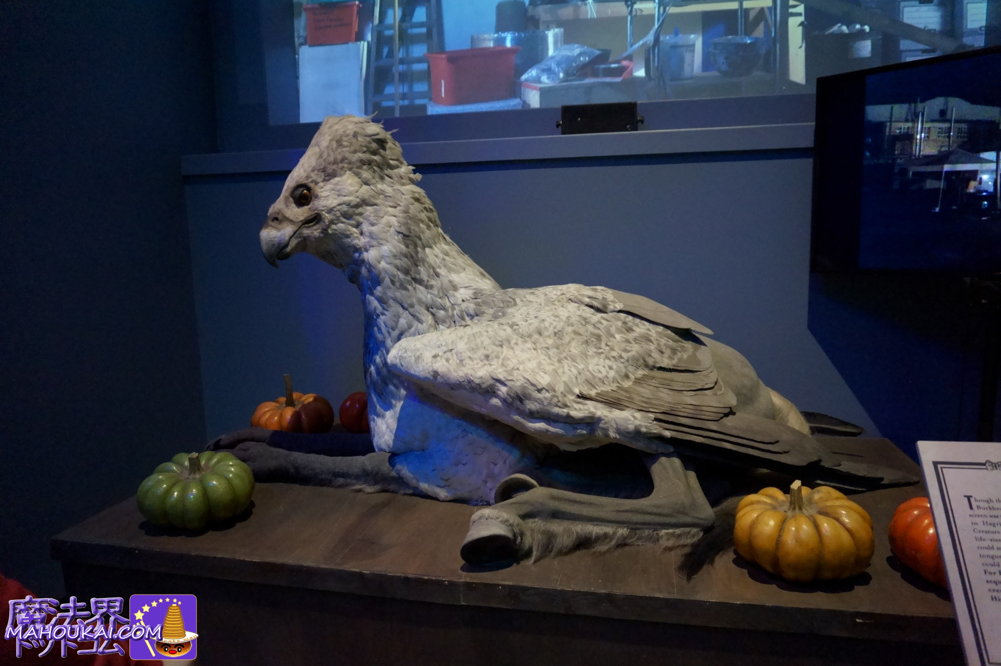 魔法動物 ヒッポグリフ（HIPPOGRIFF）のバックビーク｜ハリー