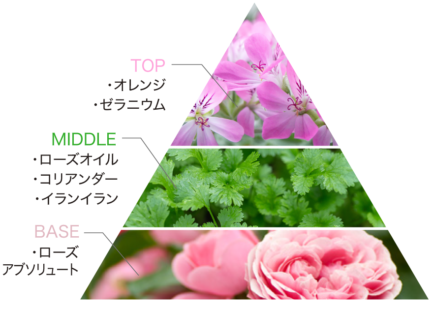 美容液］パワー モイスチャー - MAISON LEXIA メゾンレクシア 公式