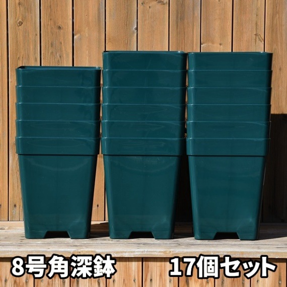 8角×17鉢セット】プレミアローズセレクション【8号角深鉢17鉢セット