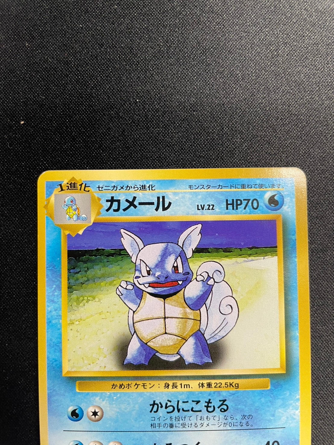 旧裏】【初版】カメールLV.22【状態B】