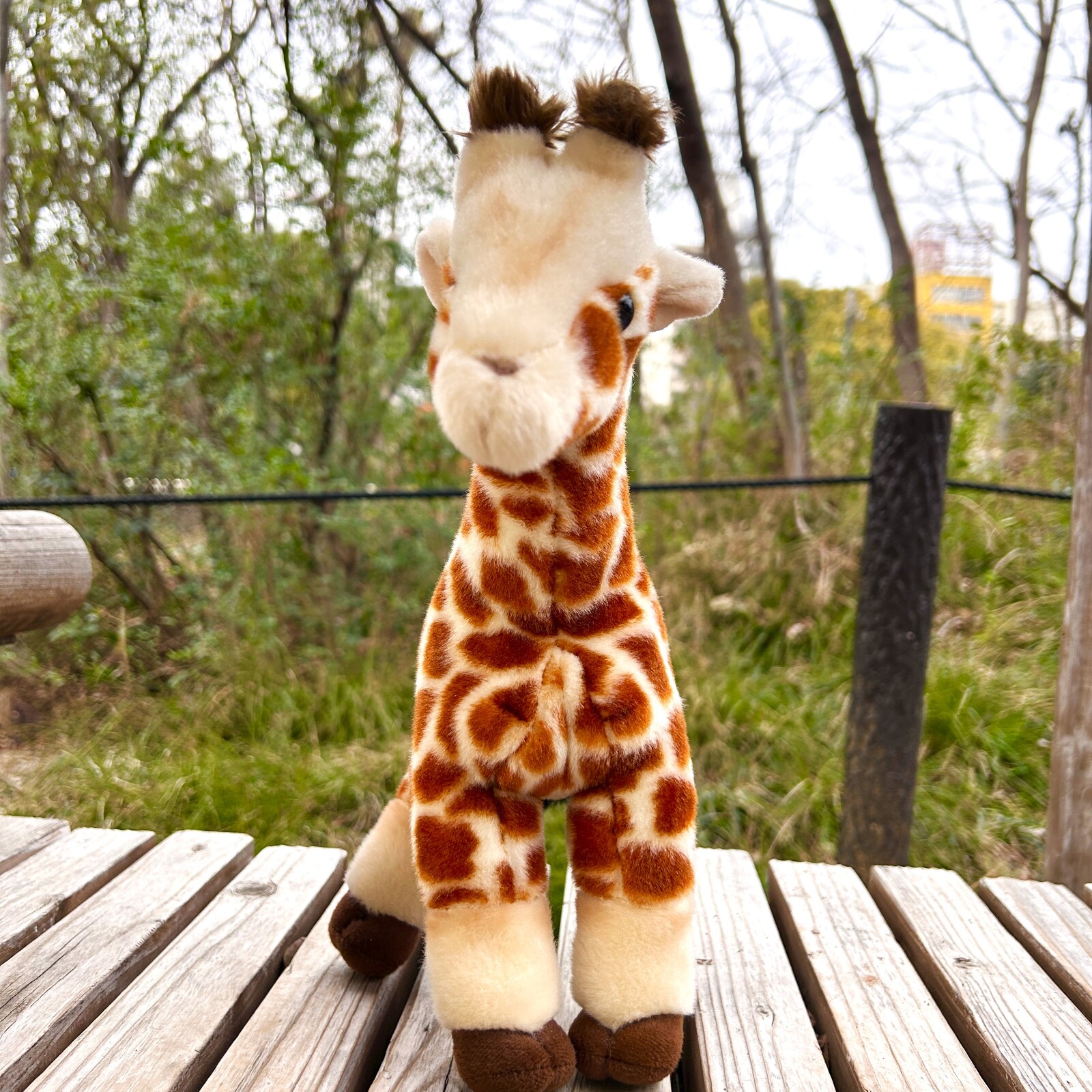 天王寺動物園オリジナル】キリンぬいぐるみ ハルカスM | 天王寺動物園