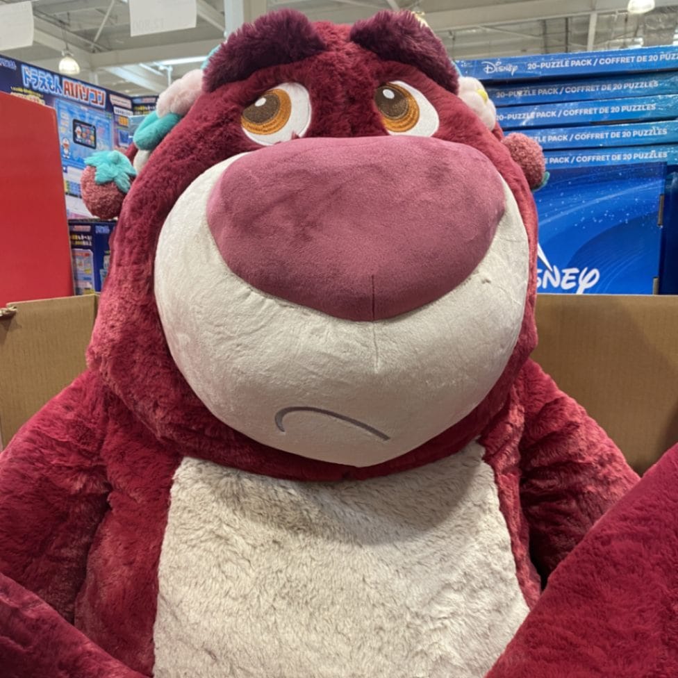 福袋セットのロッツォのぬいぐるみ（苺の香り付き ブランケット/ピロー）