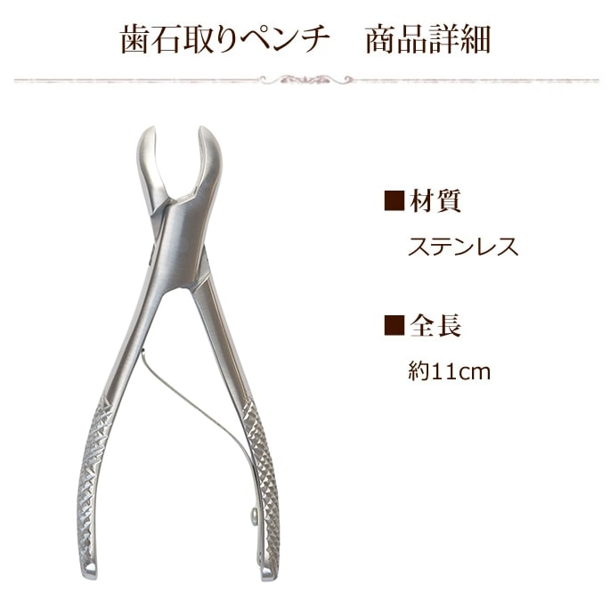 愛犬・愛猫用歯石取りスケラー 帝塚山ハウンドカム