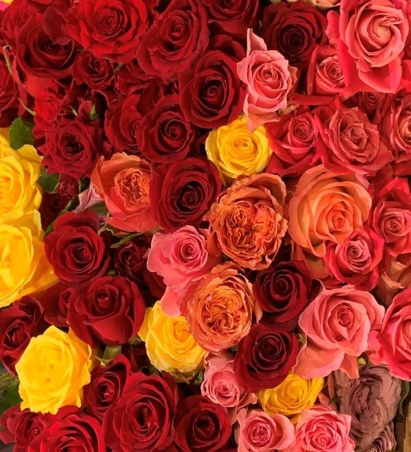 ばらの花束 “ミックスカラー” 花束 色合いはすべてお任せ【30本入