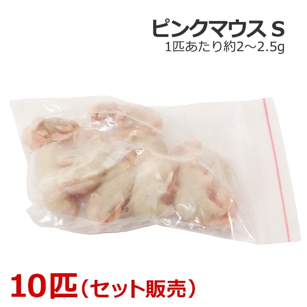 冷凍 ピンクマウス Sサイズ 100匹 | TOPCREATE