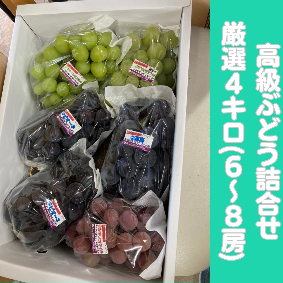 厳選G41】高級ぶどう詰合せ【6～8房】 9月1日以降発送 | ぶどう | 漆山