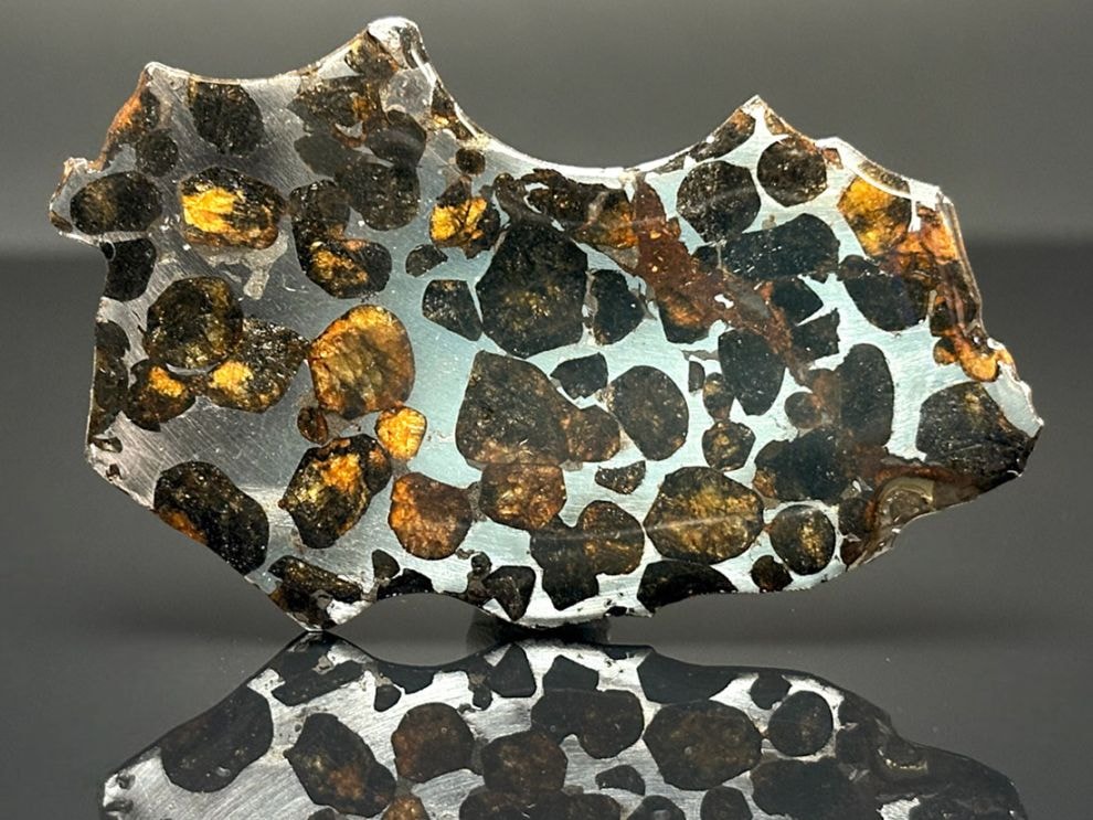 セリコパラサイト隕石