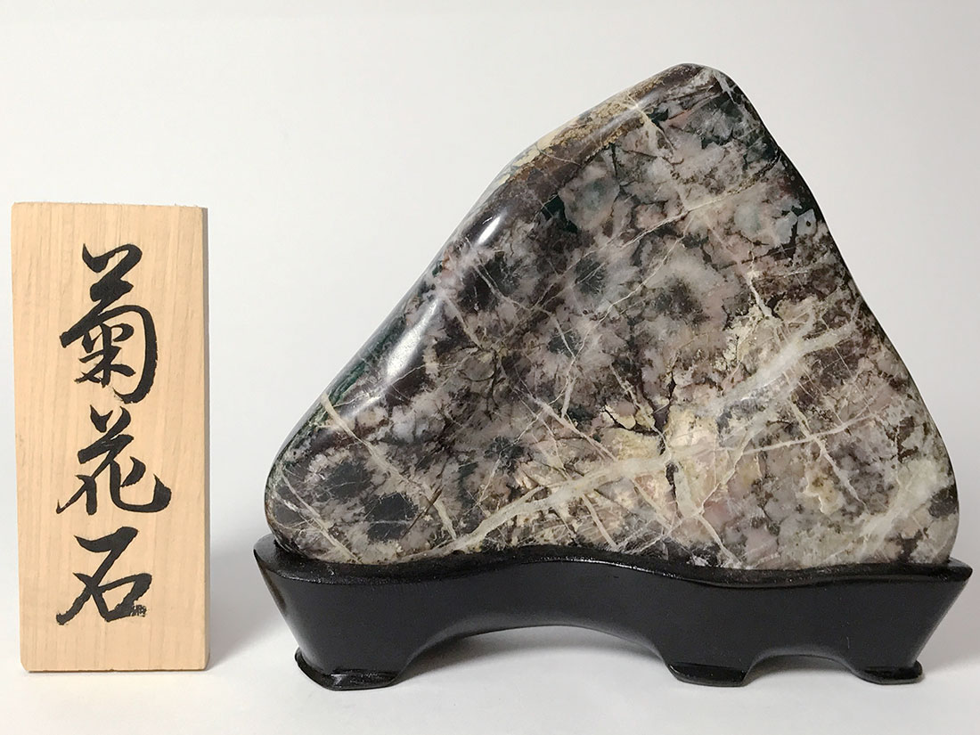 岐阜県根尾谷産 菊花石 (木製台座付き)