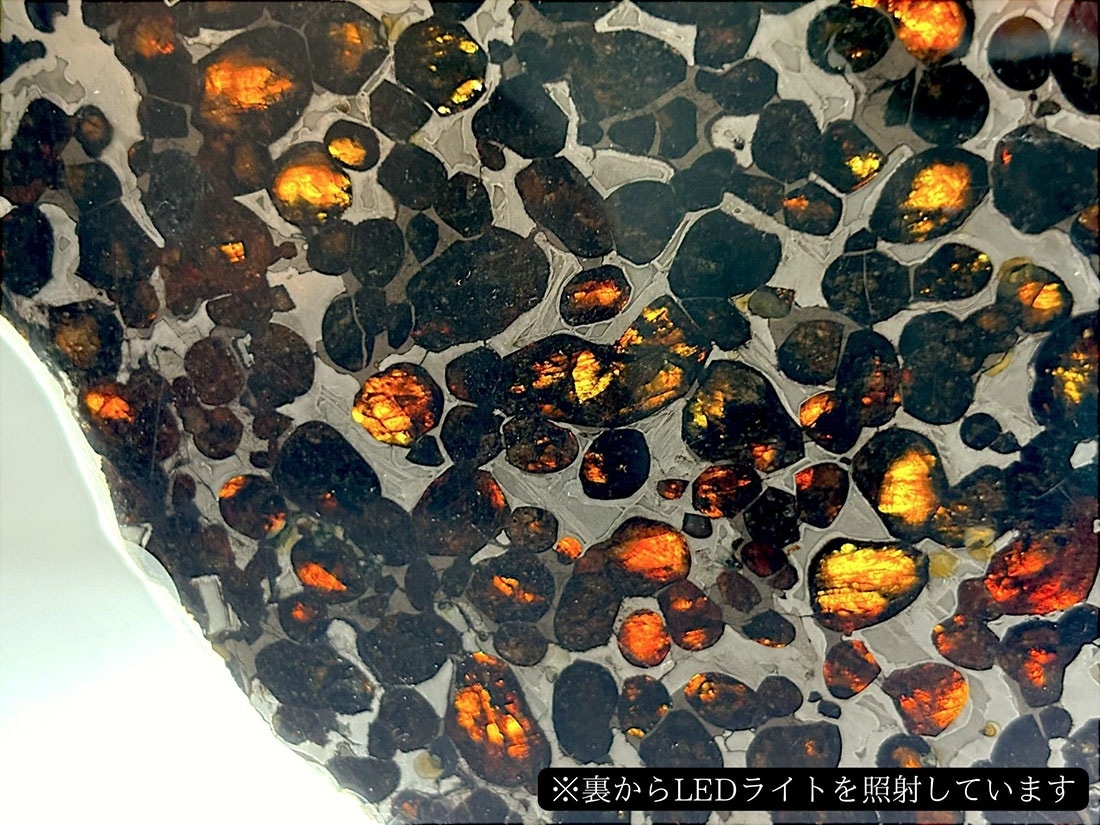 ケニア産 セリコパラサイト隕石 / Sericho Pallasite Meteorite