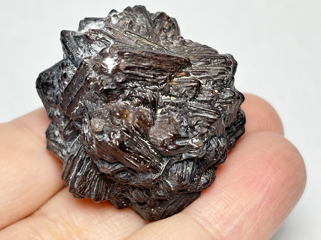 エジプトの星 ゼットストーン (プロフェシーストーン) / Prophecy Stone