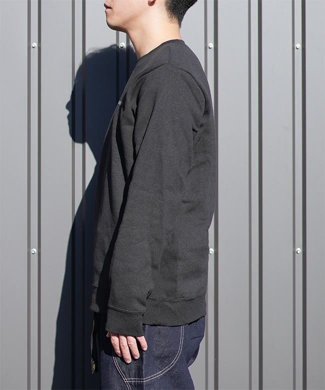 国内正規販売店】[39667]Patagonia(パタゴニア)フィッツロイ・アイコン