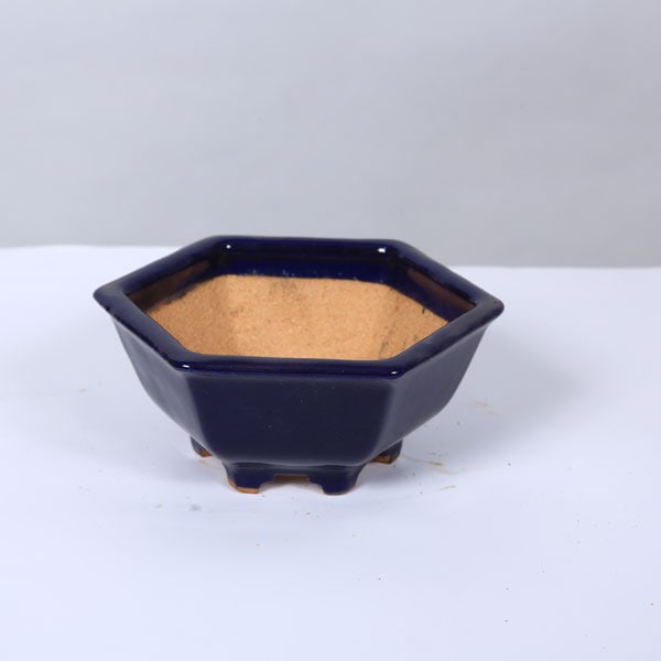 鉢：服部 六角鉢 15.3cm【現品】*資材 | 盆栽鉢・水盤,現代小鉢,服部