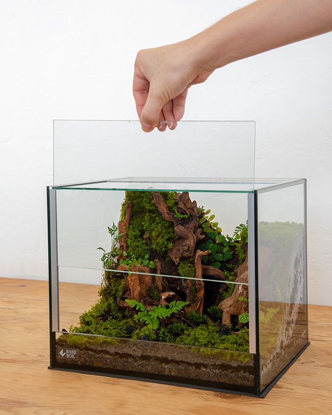 パルダリウム・ビバリウムのケージ・水槽 販売・通販のZERO PLANTS