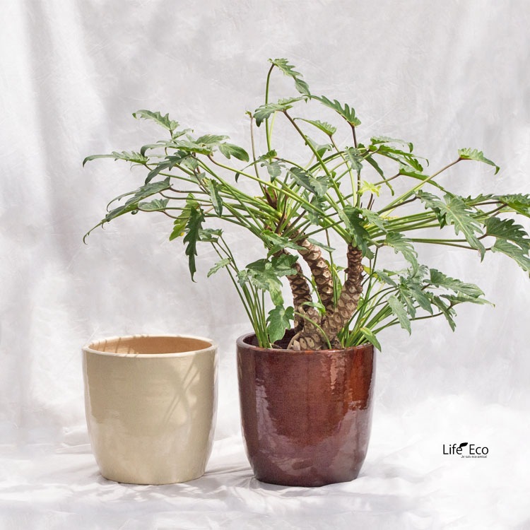 植木鉢 釉薬陶器製 ループ ラウンド クリーム（ホワイト・白）φ30.5cm