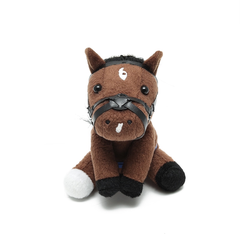 アイドルホース【グランアレグリア/'21マイルチャンピオンシップ】(S