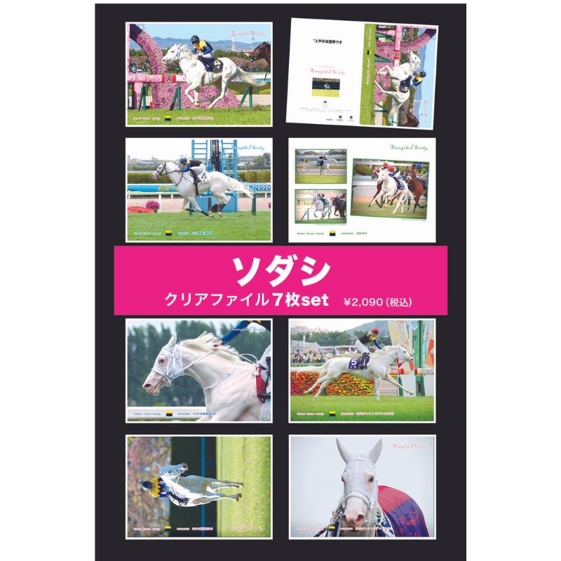 ソダシ引退記念クリアファイルセット（7枚組） | カテゴリー一覧