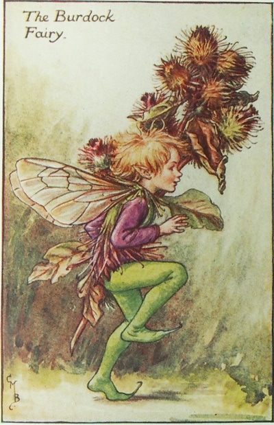 シシリー・メアリー・バーカー 挿画本「花の妖精・秋」 | | アトリエ