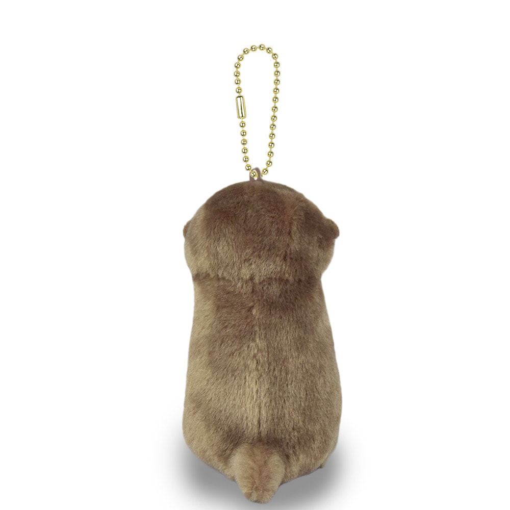 カワウソうそやんLMC こげチャン/Kawauso Usoyan LMC Koge-chan