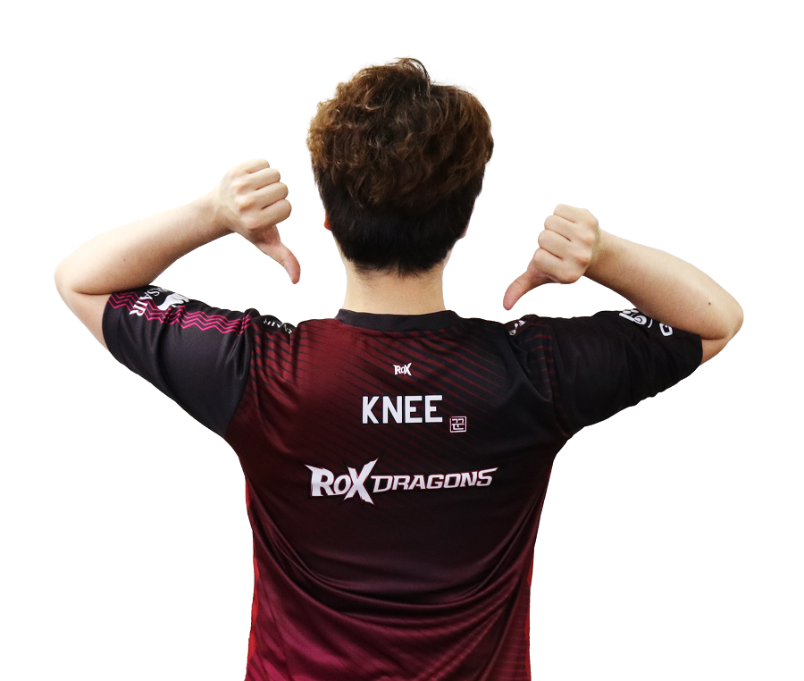 IST 韓国レバー KNEE Lever ニー レバー / Tekken Knee Style （ナスビ