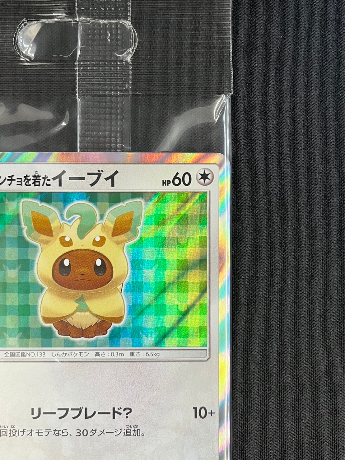 ポンチョを着たイーブイ《未開封》[P](SM-P-142) | ポケモンカード