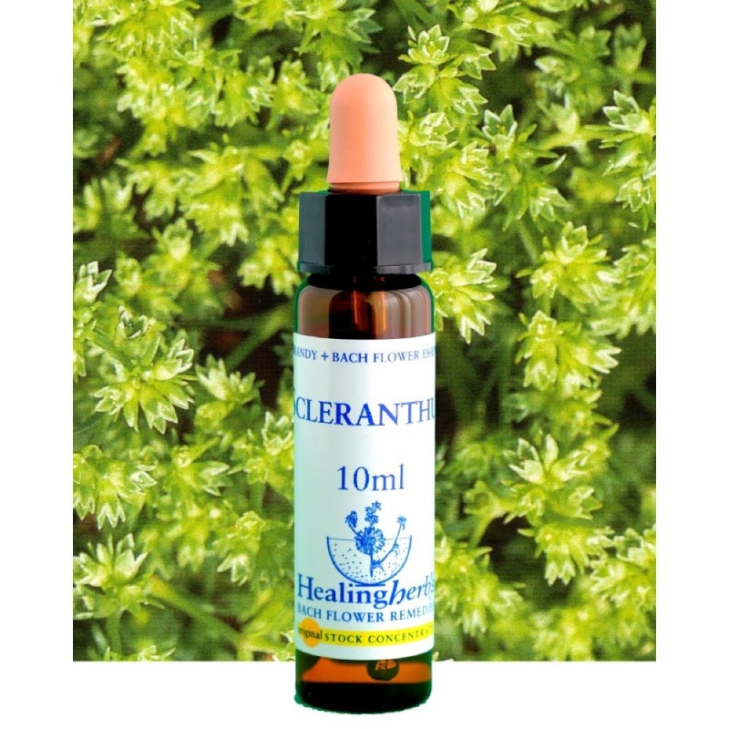 フラワーエッセンス 18 チェストナットバット [ヒーリングハーブス