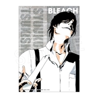 予約】BLEACH B3布ポスター 藍染 惣右介 | は行,BLEACH | Chugaionline