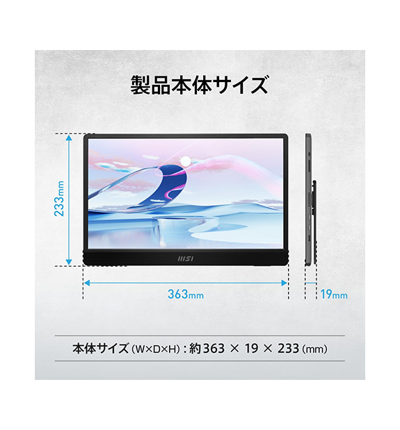 在庫処分】PRO MP161 E2 | デスクトップPC＆モニター(周辺機器) | MSI