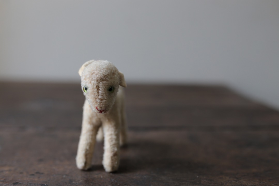 シュタイフ 羊の“ランビー” ｜ D+EMARKET Online