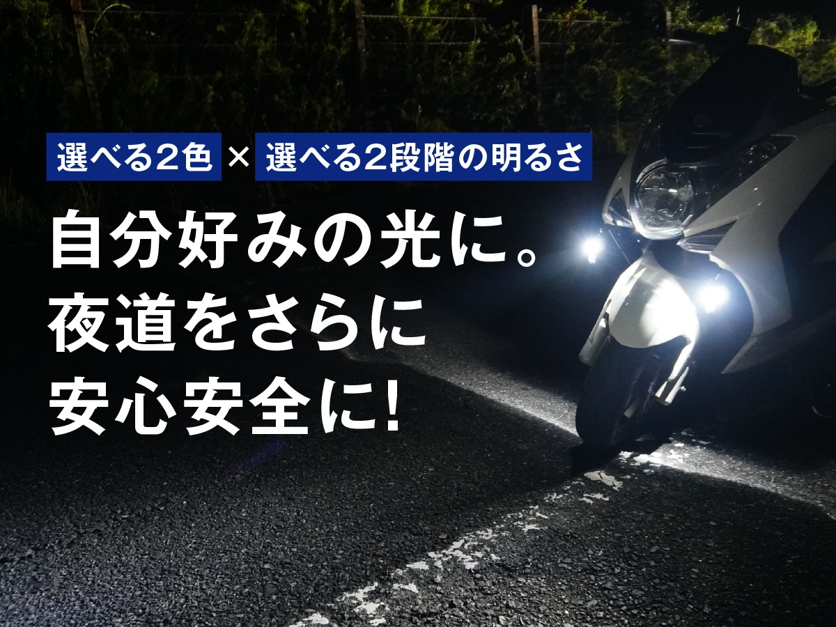 19_000000002387.jpg?1770627537