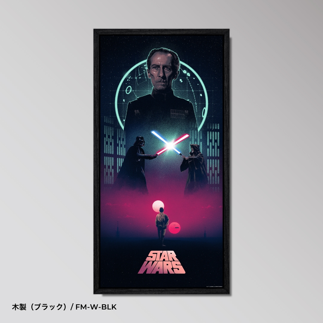 Star Wars Trilogy - Variant SET- 【スター・ウォーズ】 ｜アート