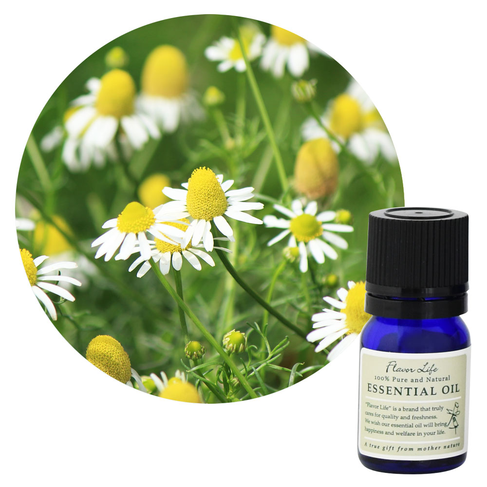 フレーバーライフ】カモマイル・ジャーマン／ブルー