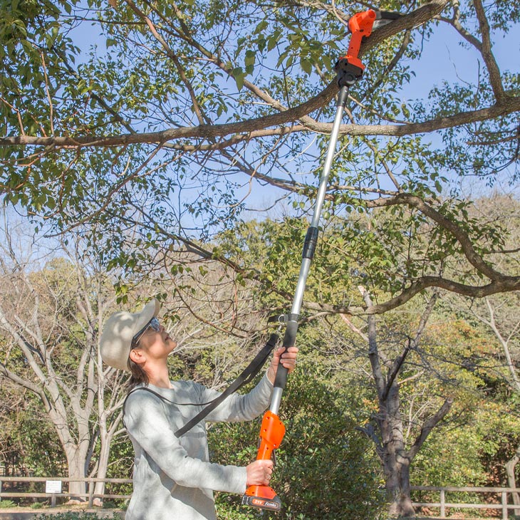 ファミラ NEW充電式コードレス2WAY高枝チェーンソー8点セット 予備