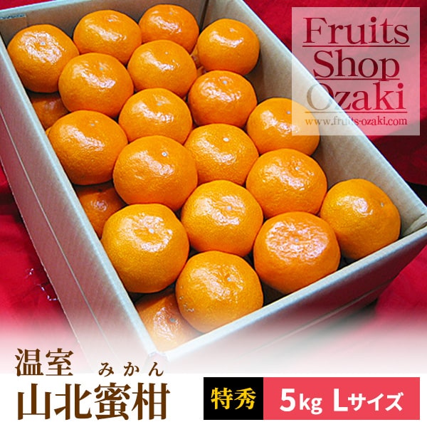 温室山北蜜柑 Sサイズ2.5K 特選 | 夏 Summer fruits,温室山北蜜柑