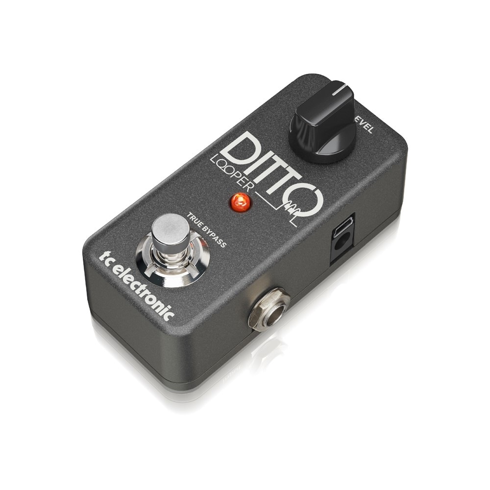 TC ELECTRONIC DITTO LOOPER ルーパー Hibino.com (ヒビノ公式ECサイト