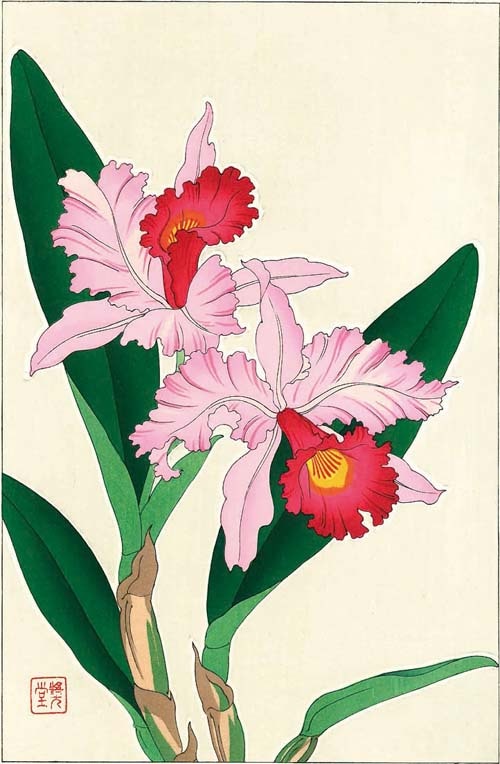 木版画のことなら『木版画 版元芸艸堂 Woodblock print』