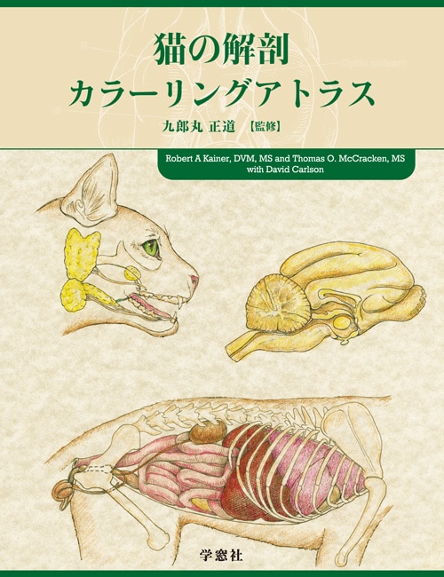 猫の解剖カラーリングアトラス | 基礎獣医学,解剖・組織学 | 株式会社