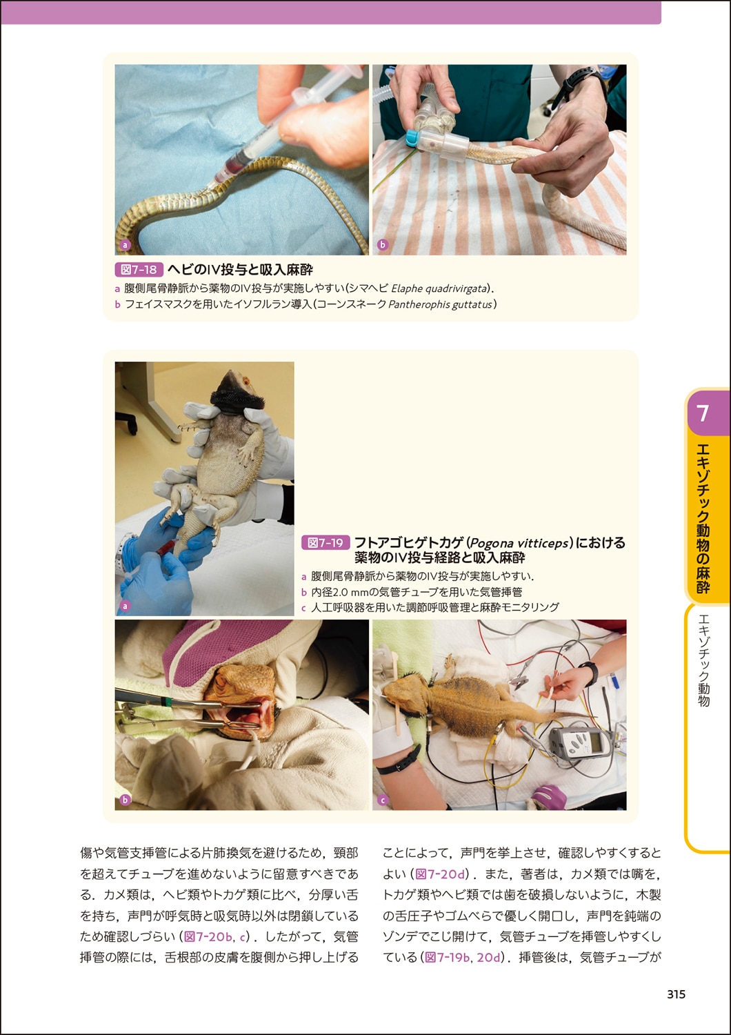 犬と猫とエキゾチック動物の臨床麻酔・疼痛管理学 | 臨床獣医学,外科系