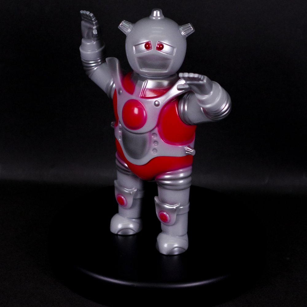 16_000000016229.jpg?1716785588