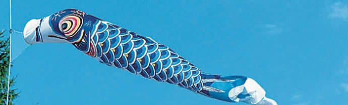 鯉のぼり 庭園用 旭天竜 シルキー 黒鯉金太郎付き 五色吹流し 6点